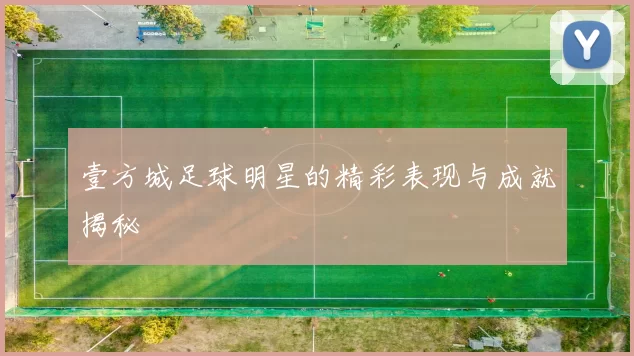 壹方城足球明星的精彩表现与成就揭秘