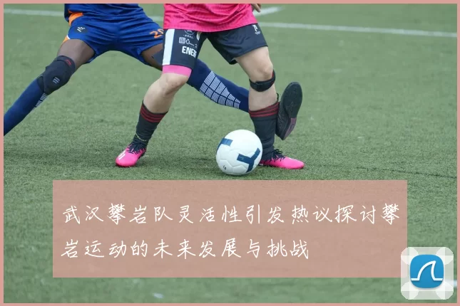 武汉攀岩队灵活性引发热议探讨攀岩运动的未来发展与挑战