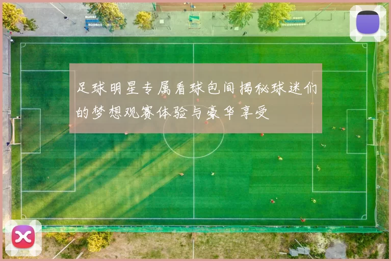 足球明星专属看球包间揭秘球迷们的梦想观赛体验与豪华享受