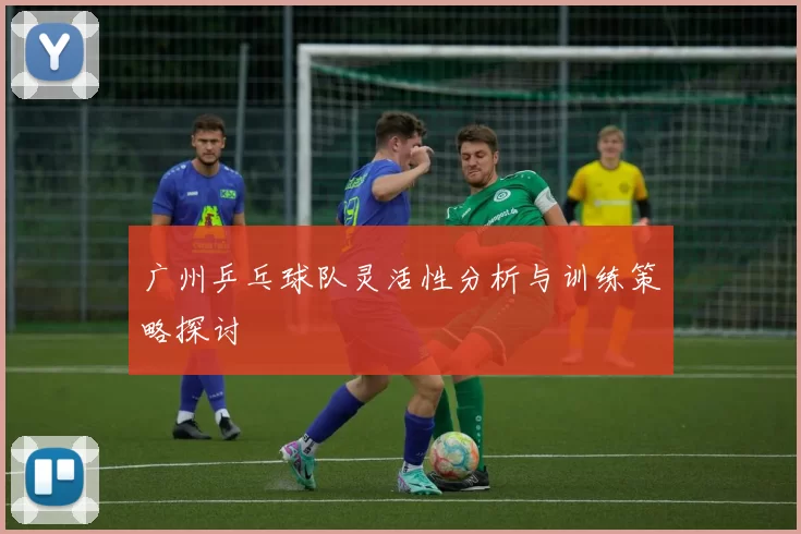 广州乒乓球队灵活性分析与训练策略探讨