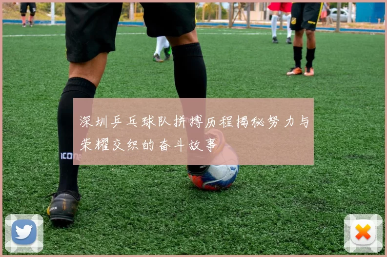 深圳乒乓球队拼搏历程揭秘努力与荣耀交织的奋斗故事