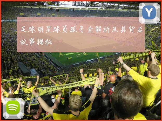 足球明星球员服号全解析及其背后故事揭秘