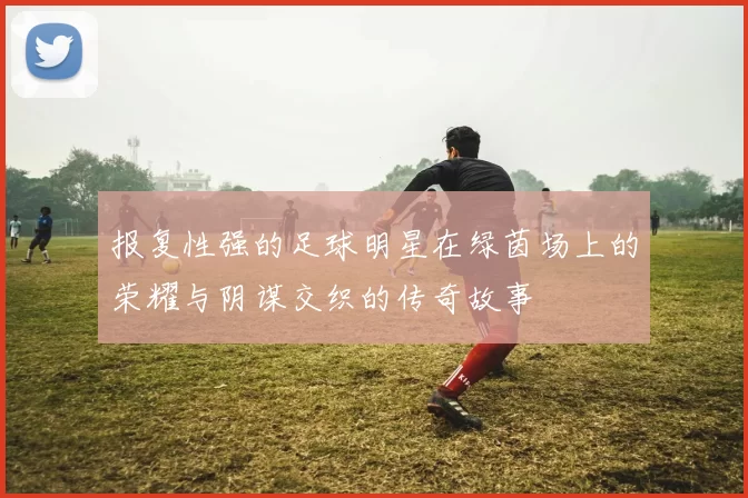 报复性强的足球明星在绿茵场上的荣耀与阴谋交织的传奇故事