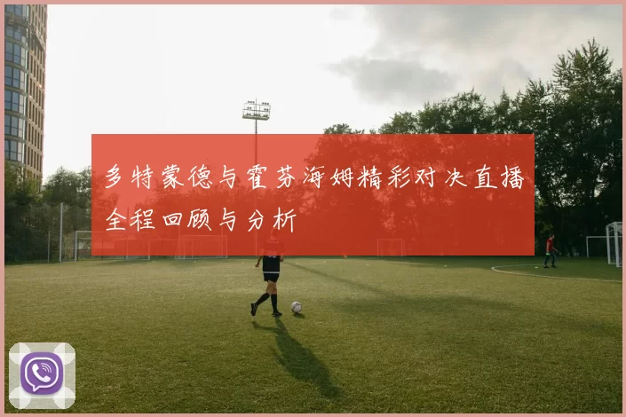 多特蒙德与霍芬海姆精彩对决直播全程回顾与分析