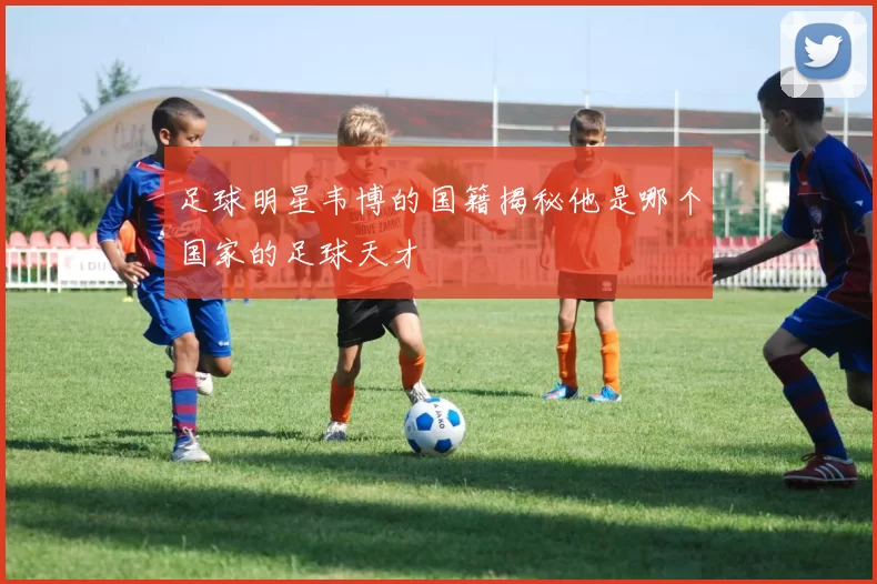 足球明星韦博的国籍揭秘他是哪个国家的足球天才