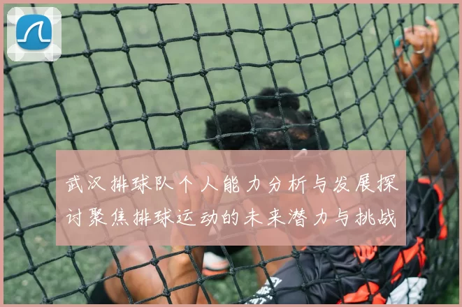 武汉排球队个人能力分析与发展探讨聚焦排球运动的未来潜力与挑战