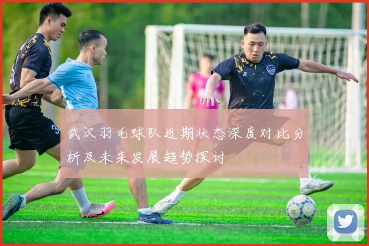 武汉羽毛球队近期状态深度对比分析及未来发展趋势探讨