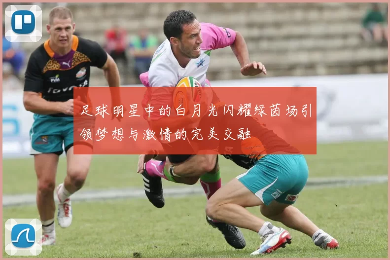 足球明星中的白月光闪耀绿茵场引领梦想与激情的完美交融