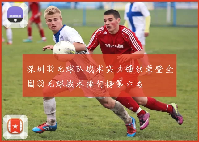 深圳羽毛球队战术实力强劲荣登全国羽毛球战术排行榜第六名