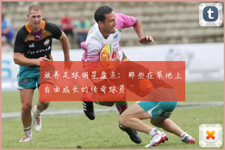 放养足球明星盘点：那些在草地上自由成长的传奇球员