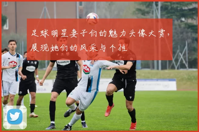 足球明星妻子们的魅力头像大赏，展现她们的风采与个性