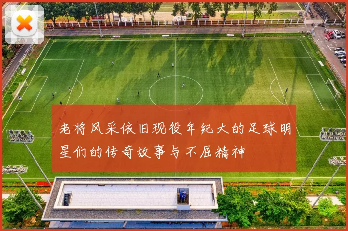 老将风采依旧现役年纪大的足球明星们的传奇故事与不屈精神