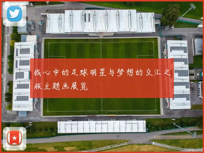 我心中的足球明星与梦想的交汇之旅主题画展览