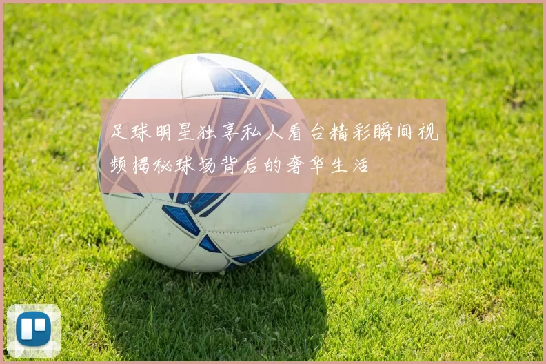 足球明星独享私人看台精彩瞬间视频揭秘球场背后的奢华生活