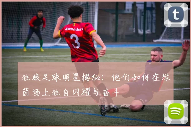 独狼足球明星揭秘：他们如何在绿茵场上独自闪耀与奋斗