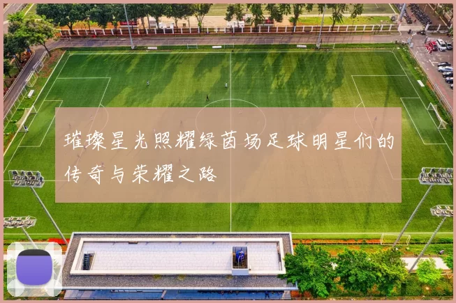 璀璨星光照耀绿茵场足球明星们的传奇与荣耀之路