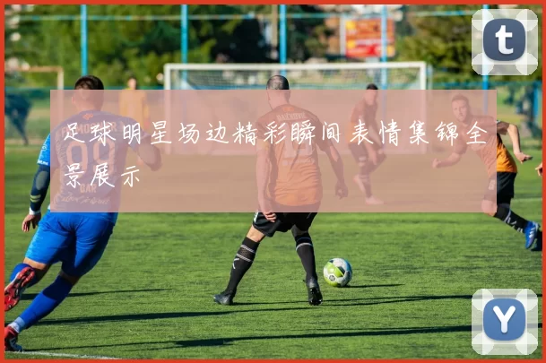 足球明星场边精彩瞬间表情集锦全景展示